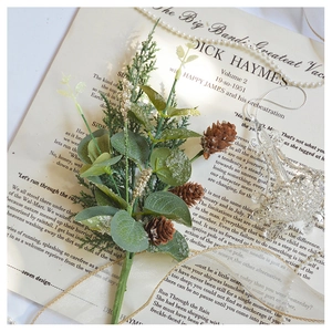 Close-up of frosted eucalyptus leaves and pine cones on vintage paper for Christmas decor