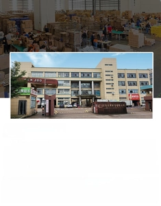 Detailed overview of professional factory production lines for Halloween wall stickers
