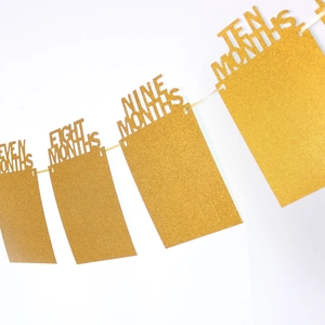 Golden glitter baby birthday photo banner showing seven to ten months milestones