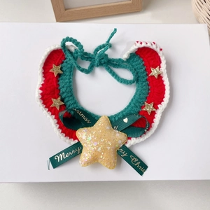 Collier de Noël pour animaux tricoté main avec nœud en ruban vert et étoile dorée sur boîte