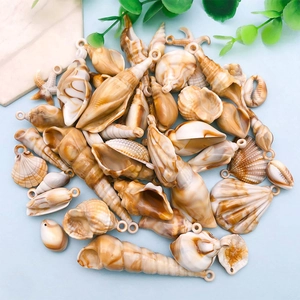 Mix di ciondoli a conchiglia in acrilico con asole per la creazione di gioielli fai-da-te