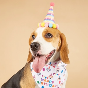 Beagle wearing rainbow sequin party hat and Happy Birthday printed dog bandana set