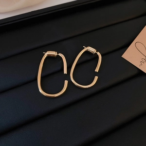 Macro shot of elegant oval gold earrings on black leather with high gloss metallic finish
