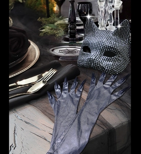Close-up of sparkling rhinestone cat mask and long claw gloves for Halloween costumes