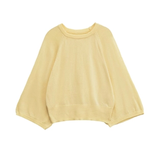 Pull en maille jaune pâle avec col rond classique et poignets côtelés sur fond blanc