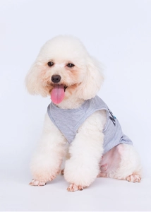 Detail shot of gray cotton knitted pet vest with high-quality stitching and NY print