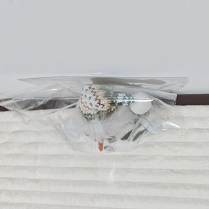 Close-up of plush snowman doll with green knit hat inside transparent polybag packaging