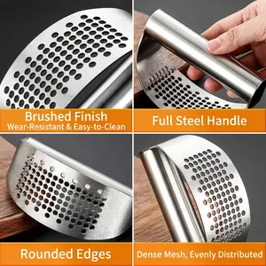 Ergonomic stainless steel garlic press with arched mesh plate and brushed finish handle