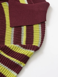 Detailed macro view of the knitted polo shirt collar featuring burgundy and green stripes