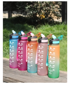 Close-up of motivational time markers and gradient frosted texture on the 1000ml sports bottle