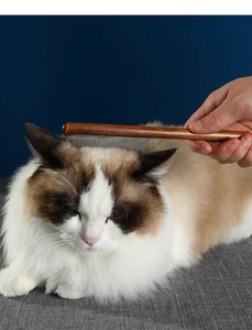 Nahaufnahme eines fein gezahnten Haustierkamms beim Bürsten von Katzenhaaren