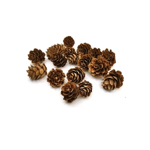 Mini natural brown larch pine cones for DIY Christmas decorations and creative crafts