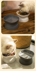 Dual-color elevated pet bowl with tilted rim design for neck protection and stability