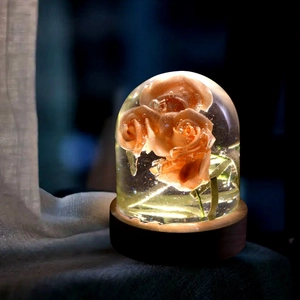 Close-up of preserved orange roses in hemispherical glass dome with LED wood base