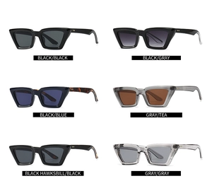 Detailed grid showing angular cat-eye sunglasses with jaguar shaped temple accents