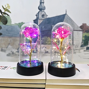 Close-up of pink and purple gold foil rose lamps in glass domes with LED string lights