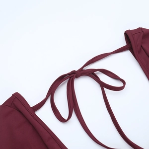 Detail of burgundy tie-up bow on high-waisted dress with sheer stitching and mesh texture