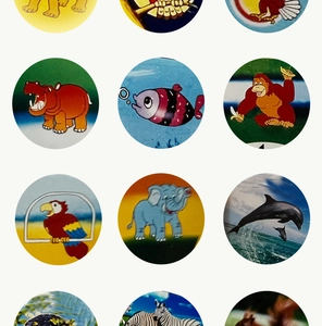 Detailansicht von 12 bunten Cartoon-Tierbildscheiben für Kinder-Spielzeugkamera