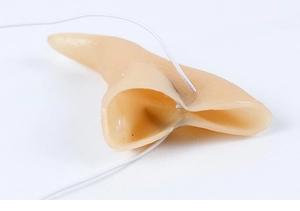 Detailed top view of realistic prosthetic elf ears with white elastic straps for cosplay