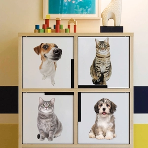Set of 4 cute realistic pet wall stickers featuring cats and dogs for home decoration