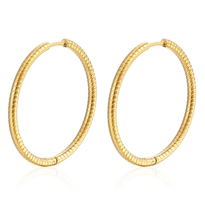 Boucles d'oreilles créoles en acier inoxydable doré 18K avec texture torsadée chic