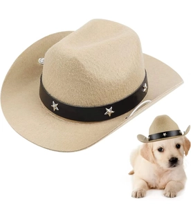 Detail of light khaki felt cowboy hat for pets with silver star and golden retriever puppy