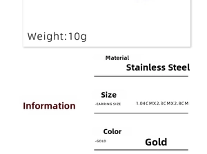 Technical specifications of the two-tone stainless steel earrings including size and weight