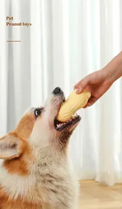 Nahaufnahme eines Corgis, der auf einem robusten Erdnuss-Gummispielzeug im Haus kaut