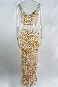 Detail of pleated zebra print maxi skirt and crop top set with focused back view