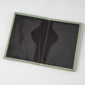Interior view of the passport holder featuring dual transparent slots and green stitching