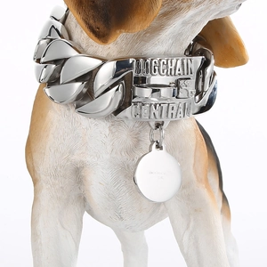Detail showing high-polished 316L stainless steel Cuban link dog collar on pet model