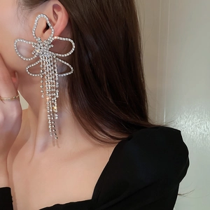 Detailed view of long silver tassel earrings with sparkling rhinestones worn by a model