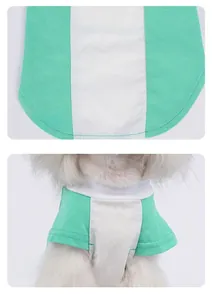 Detail view of pet vest featuring mint green color-blocking and stylish ruffled sleeves
