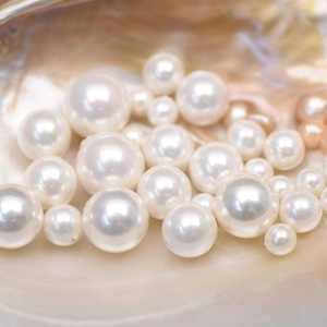 Macro shot of white semi-drilled shell pearls with high luster inside an iridescent shell