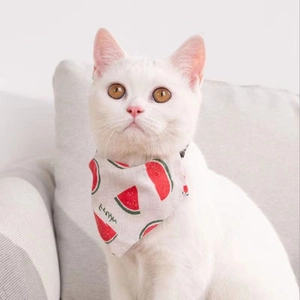 Close-up of pet bandana with watermelon print on cotton fabric worn by a white cat