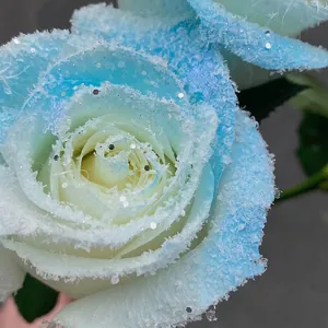 Artistic light blue frosted rose with realistic snow texture and silver sequins for Christmas