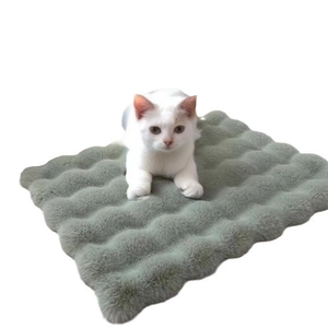 Tapis en peluche vert ondulé pour chats et petits chiens sur fond blanc épuré