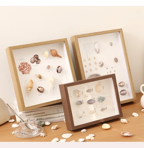 Vista macro di cornici in legno con campioni di conchiglie naturali e perle pregiate