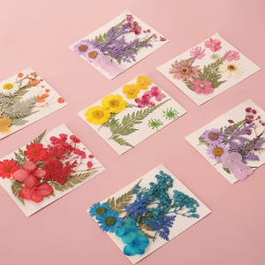 DIY handgefertigtes Set mit gepressten Trockenblumen für Lesezeichen in sieben bunten Farben
