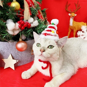 Detail of knitted Christmas tree pet hat and red collar with festive ornaments