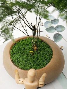 Macro view of artificial green moss lawn decoration in a ceramic pot with a wooden mannequin