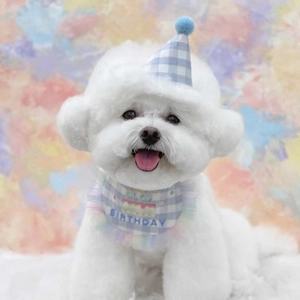 Blue plaid pet birthday set with embroidered bandana and hat for dogs and cats