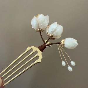 Peigne à cheveux classique avec magnolia blanc, dents dorées et glands en perles Hanfu