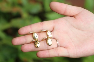 Close-up of gold oval earrings with micro-inlaid colored star zircons on female hand