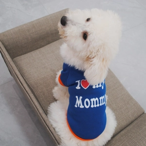 Close-up of blue fleece dog hoodie with 'I ❤️ My Mommy' print and orange trim details