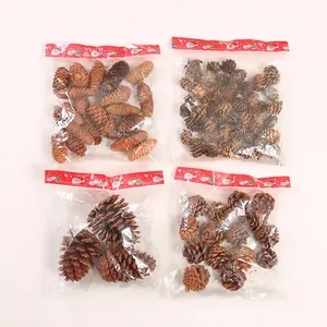 Natural pine cones set in Christmas packaging for DIY crafts and holiday decor