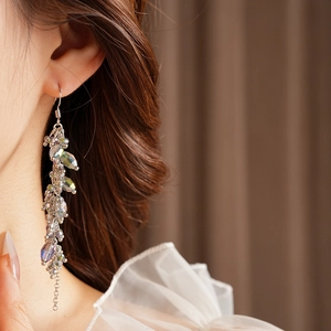 Close-up of bohemian silver tassel earrings with iridescent crystal beads on a model