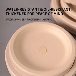 Thickened eco-friendly sugarcane pulp disposable plates with oil-resistant surface