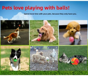 Collage of glowing massage spikes and squeaky volleyball toys for interactive pet play