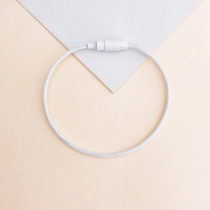 Silver metal wire keychain ring with screw lock on a minimalist geometric background